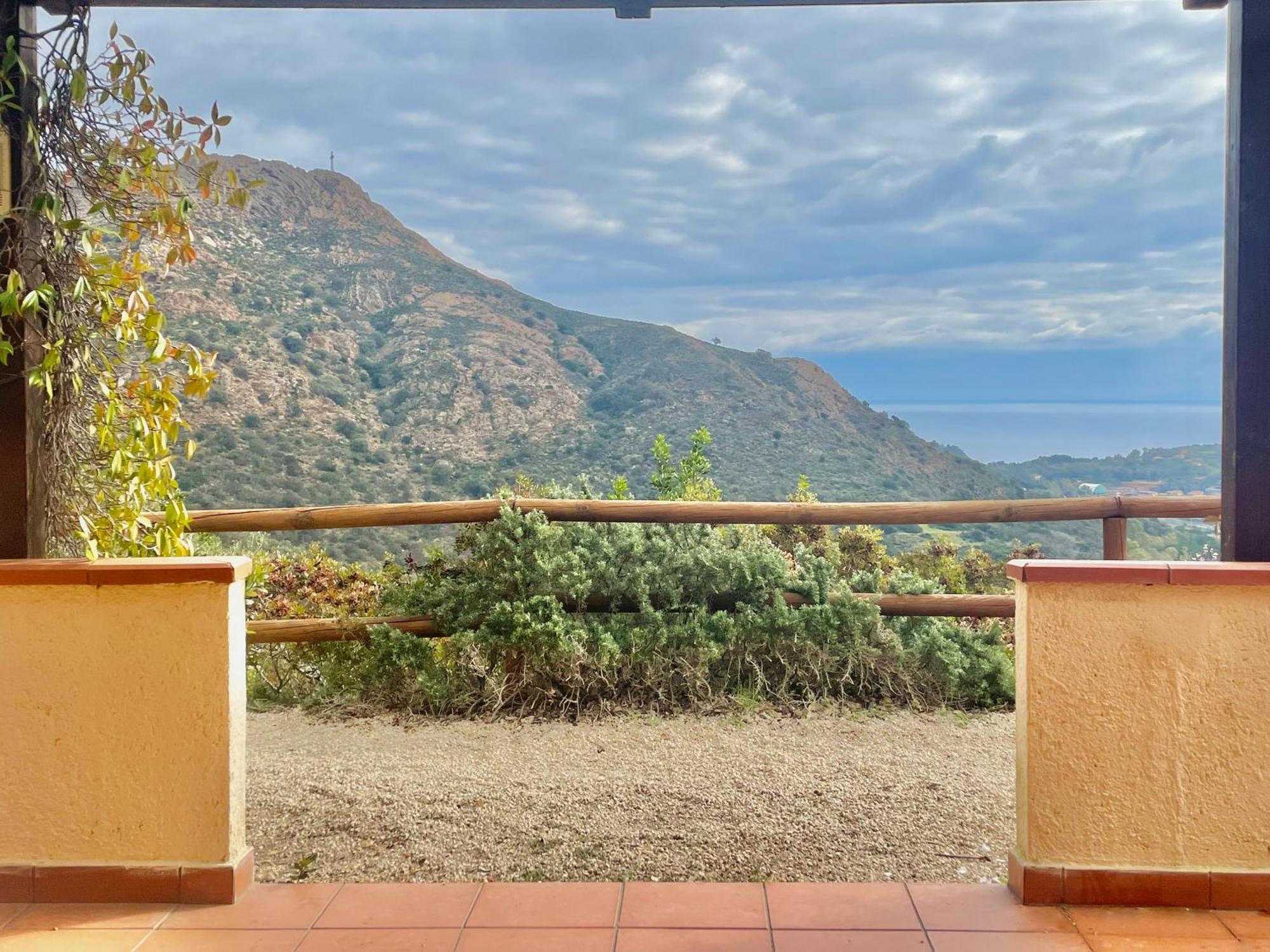 Aria Di Collina - Isola D'Elba Apartment ปอร์โตอัซซูร์โร ห้อง รูปภาพ